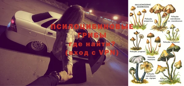 винт Белокуриха